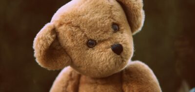 The Spying Teddy Bears That Leak Your Data