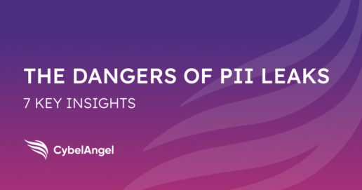 The Dangers of PII Leaks: 7 Key Insights