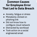 Causes of Negligent Data Breaches