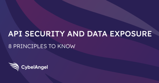 API Security and Data Exposure: 8 Principles to Know