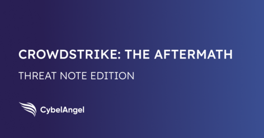 Cyber Vulnerabilities: The Aftermath of the CrowdStrike Outage