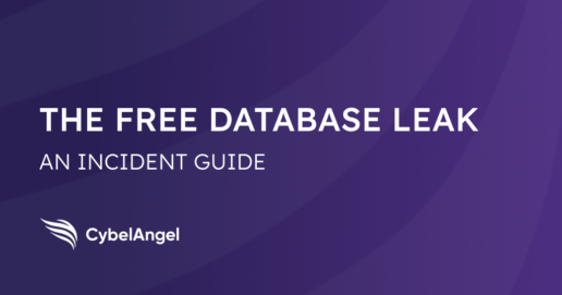 The Free Database Leak: IBANS, PII…What to Expect?