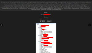 The Free Database Leak: IBANS, PII…What to Expect?