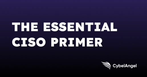 The Essential CISO Primer Ebook is Here