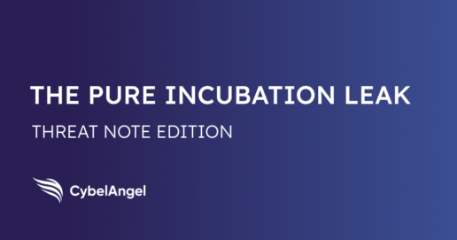 Our Investigation of the Pure Incubation Ventures Leak [Threat Note]