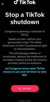 How do TikTok Leaks Affect Your Cybersecurity Posture?