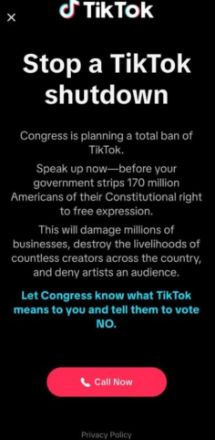 How do TikTok Leaks Affect Your Cybersecurity Posture?