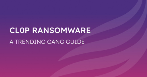 The Cl0p Ransomware Gang Unveiled