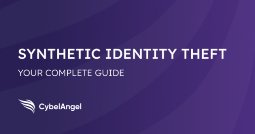 A 101 Guide to Synthetic Identity Theft