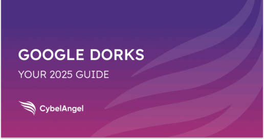 Understanding Google Dorks [Plus Risk Use Cases]