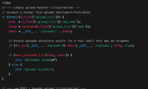 What is a Web Shell? C99 Explained