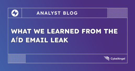 AfD Email Leak: Hacktivism and European Political Unrest